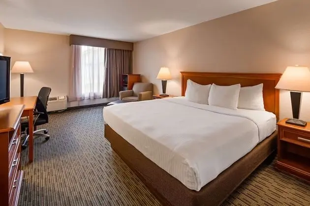 Standard Oda, 1 En Büyük (King) Boy Yatak, Sigara İçilmez, Buzdolabı ve Mikrodalga (Pet Friendly)