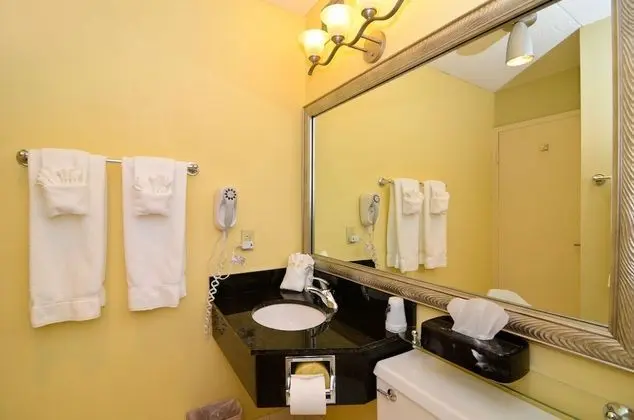 Standard Oda, 1 En Büyük (King) Boy Yatak, Sigara İçilmez, Buzdolabı ve Mikrodalga (Pet Friendly)