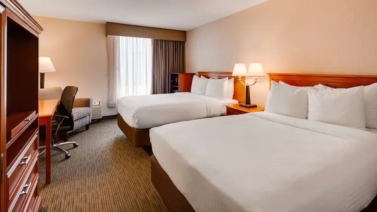 Standard Oda, 2 Büyük (Queen) Boy Yatak, Sigara İçilmez, Buzdolabı ve Mikrodalga (Pet Friendly)