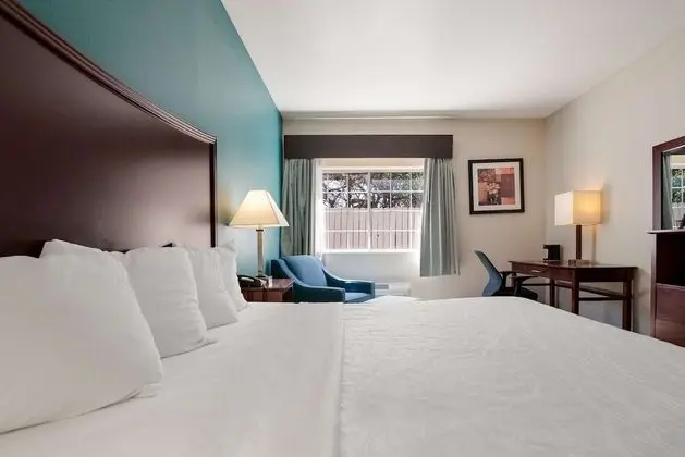 Standard Oda, 1 En Büyük (King) Boy Yatak, Engellilere Uygun, Küvet