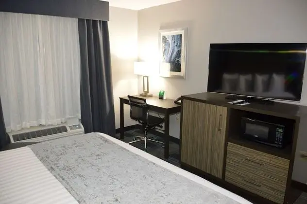 Standard Oda, 1 En Büyük (King) Boy Yatak, Sigara İçilmez, Mikrodalga (with Sofabed)