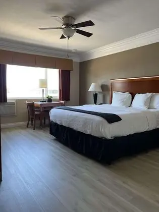 Standard Oda, 1 En Büyük (King) Boy Yatak, Sigara İçilmez, Buzdolabı