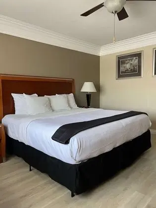 Standard Oda, 1 En Büyük (King) Boy Yatak, Sigara İçilmez, Buzdolabı