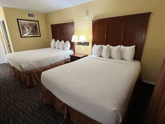 Deluxe Oda, 2 Büyük (Queen) Boy Yatak, Sigara İçilmez