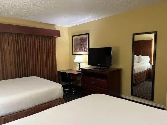 Deluxe Oda, 2 Büyük (Queen) Boy Yatak, Sigara İçilmez