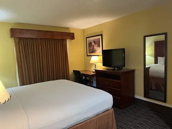 Superior Oda, 1 En Büyük (King) Boy Yatak, Sigara İçilebilir