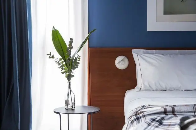 Superior Tek Büyük veya İki Ayrı Yataklı Oda, Balkon, Dağ Manzaralı