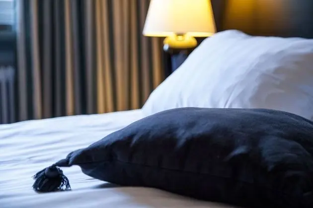 Superior Oda, 1 Çift Kişilik Yatak, Sigara İçilmez