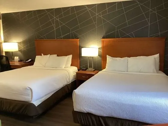 Standard Oda, 2 Büyük (Queen) Boy Yatak, Sigara İçilmez, Ek Bina (1st Floor;Pet Friendly)