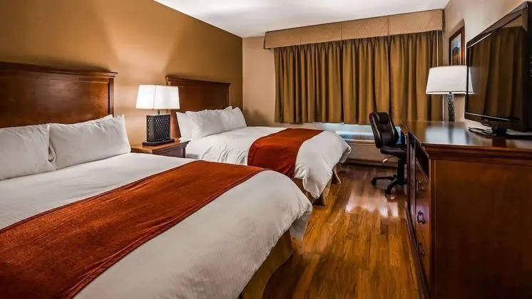 Standard Oda, 2 Büyük (Queen) Boy Yatak, Sigara İçilmez (Pet Friendly)