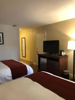 Standard Oda, 2 Büyük (Queen) Boy Yatak, Sigara İçilmez (Pet Friendly)