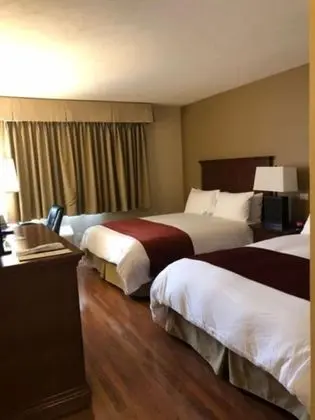 Standard Oda, 2 Büyük (Queen) Boy Yatak, Sigara İçilmez (Pet Friendly)