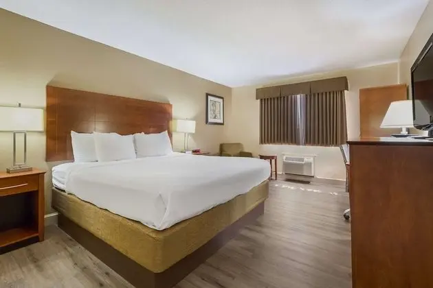 Standard Oda, 1 En Büyük (King) Boy Yatak, Sigara İçilmez, Buzdolabı ve Mikrodalga (Walk-in Shower)