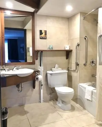 Standard Oda, 1 En Büyük (King) Boy Yatak, Engellilere Uygun, Sigara İçilmez