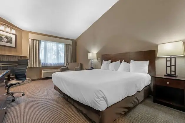 Standard Oda, 1 En Büyük (King) Boy Yatak, Sigara İçilmez, Sıcak Su Küveti