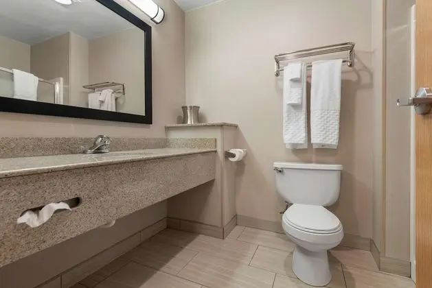 Standard Oda, 1 En Büyük (King) Boy Yatak, Sigara İçilmez, Sıcak Su Küveti