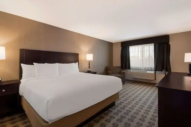 Standard Oda, 1 En Büyük (King) Boy Yatak, Sigara İçilmez, Buzdolabı ve Mikrodalga