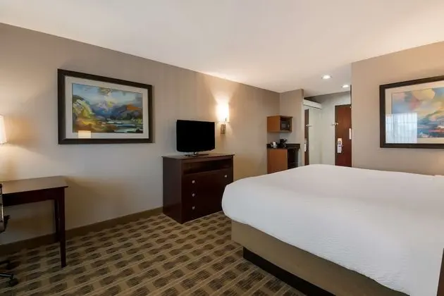 Standard Oda, 1 En Büyük (King) Boy Yatak, Sigara İçilmez, Buzdolabı ve Mikrodalga