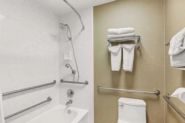 Engellilere uygun banyo