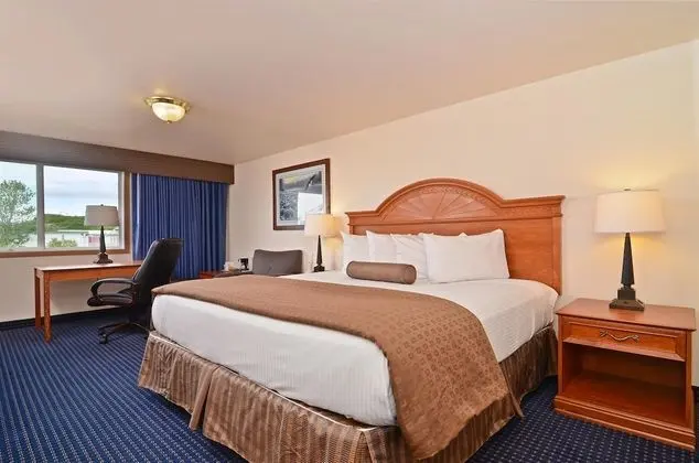 Business Oda, 1 En Büyük (King) Boy Yatak, Sigara İçilmez, Buzdolabı ve Mikrodalga