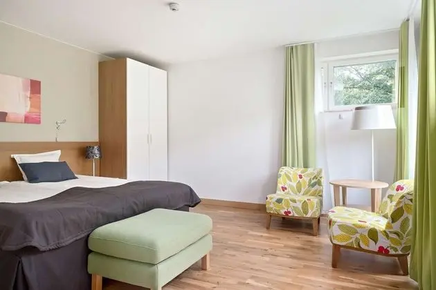 Junior Süit, Birden Çok Yatak, Sigara İçilmez (with Sofabed)