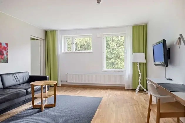 Junior Süit, Birden Çok Yatak, Sigara İçilmez (with Sofabed)