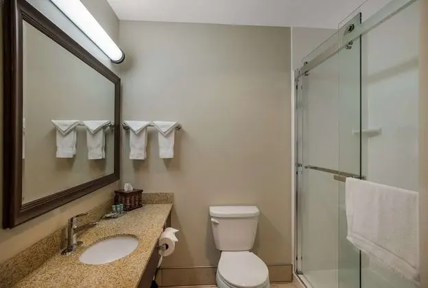 Süit, 1 En Büyük (King) Boy Yatak, Sigara İçilmez (Walk-in Shower;with Sofabed)