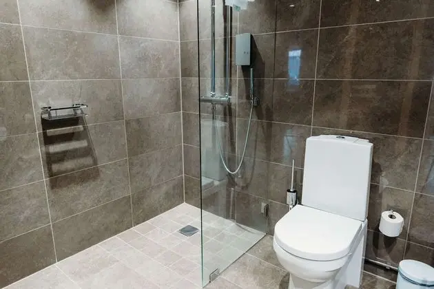 Deluxe Oda, 1 En Büyük (King) Boy Yatak, Sigara İçilmez, Sauna (with Sofabed)