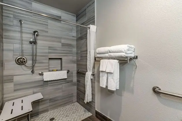 Standard Oda, 1 En Büyük (King) Boy Yatak, Engellilere Uygun, Sigara İçilmez (Roll-In Shower)
