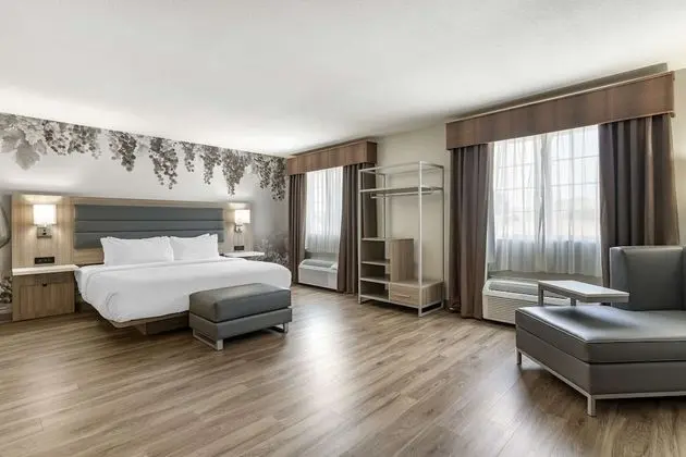 Süit, 1 En Büyük (King) Boy Yatak, Sigara İçilmez, Sıcak Su Küveti (Oversized Room)