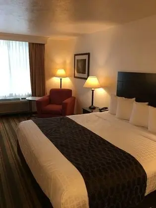 Business Süit, 1 En Büyük (King) Boy Yatak, Sigara İçilmez, Buzdolabı ve Mikrodalga