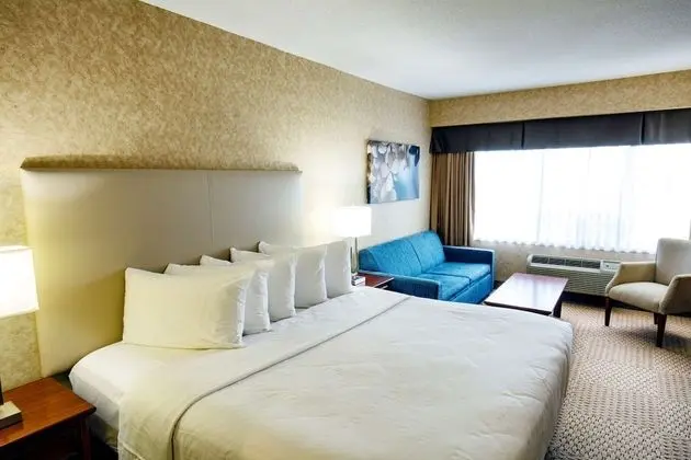 Standard Oda, 1 En Büyük (King) Boy Yatak, Sigara İçilmez (with Sofabed)