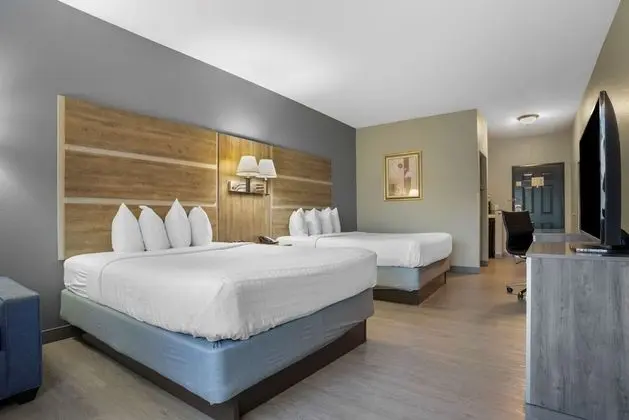 Standard Oda, 2 Büyük (Queen) Boy Yatak, Sigara İçilmez, Buzdolabı ve Mikrodalga