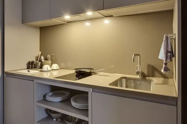 Exclusive Apart Daire, 1 Yatak Odası, Sigara İçilmez, Mutfak