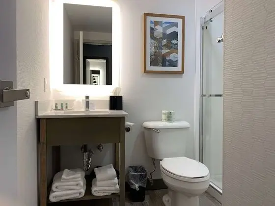 Standard Oda, 1 En Büyük (King) Boy Yatak, Sigara İçilmez, Buzdolabı ve Mikrodalga