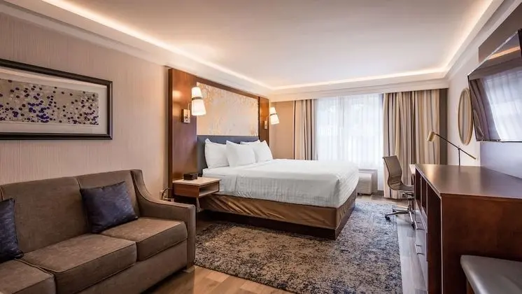 Standard Oda, 1 En Büyük (King) Boy Yatak, Sigara İçilmez, Buzdolabı ve Mikrodalga (with Sofabed)