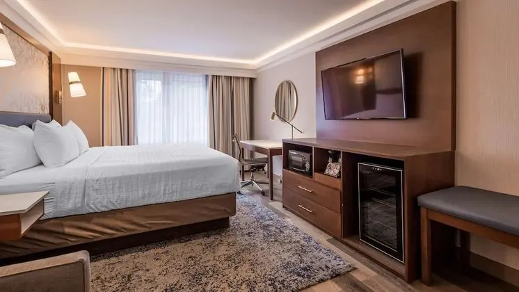 Standard Oda, 1 En Büyük (King) Boy Yatak, Sigara İçilmez, Buzdolabı ve Mikrodalga (with Sofabed)