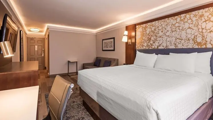 Standard Oda, 1 En Büyük (King) Boy Yatak, Sigara İçilmez, Buzdolabı ve Mikrodalga (with Sofabed)