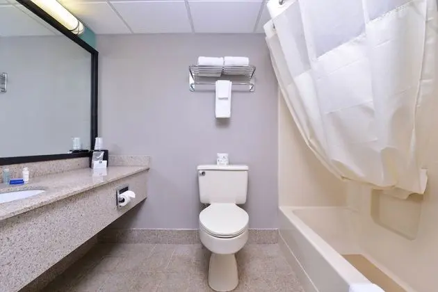 Standard Oda, 1 En Büyük (King) Boy Yatak, Sigara İçilmez, Buzdolabı ve Mikrodalga