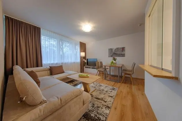 Executive Apart Daire, 1 Çift Kişilik Yatak, Mutfak, Nehir Manzaralı (Living Room;with Sofabed)