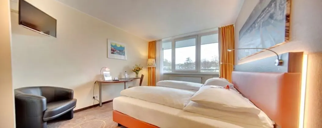 Executive Oda, 1 Büyük (Queen) Boy Yatak, Nehir Manzaralı