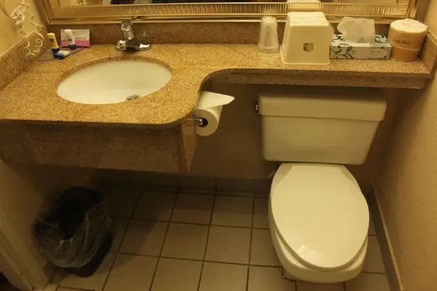 Standard Oda, 1 En Büyük (King) Boy Yatak, Sigara İçilmez, Mikrodalga (Pet Friendly)