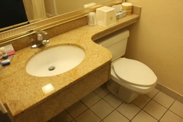 Standard Oda, 1 En Büyük (King) Boy Yatak, Sigara İçilmez, Mikrodalga (Pet Friendly)