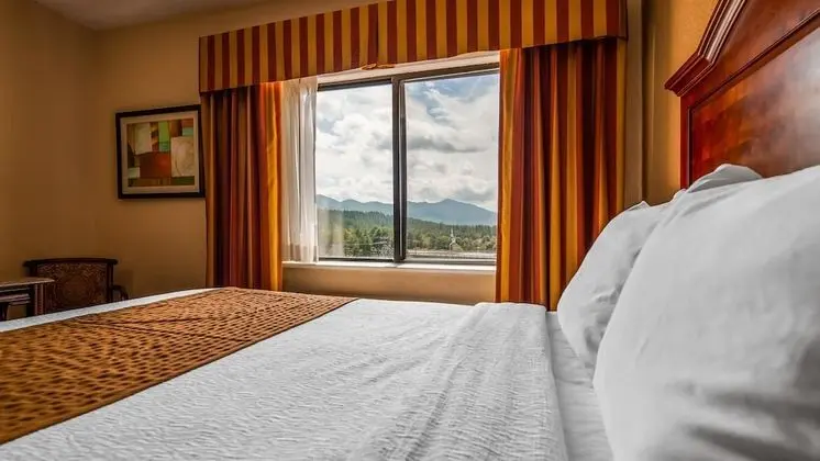 Standard Oda, 2 Büyük (Queen) Boy Yatak, Mikrodalga, Dağ Yamacı (Pet Friendly)