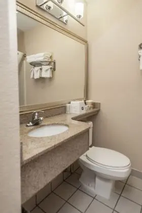 Standard Oda, 2 Büyük (Queen) Boy Yatak, Mikrodalga, Dağ Yamacı (Pet Friendly)
