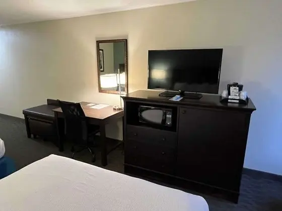 Basic Oda, 1 En Büyük (King) Boy Yatak, Sigara İçilmez, Buzdolabı (Pet Friendly)