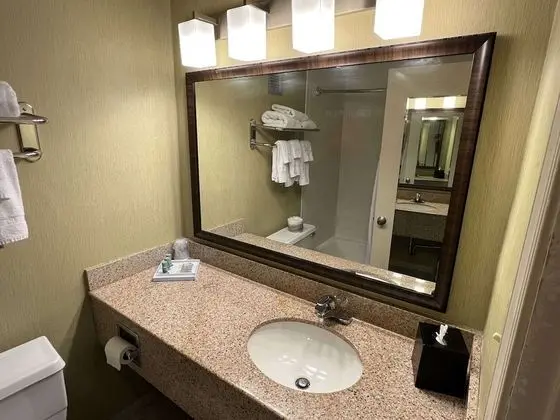 Basic Oda, 1 En Büyük (King) Boy Yatak, Sigara İçilmez, Buzdolabı (Pet Friendly)