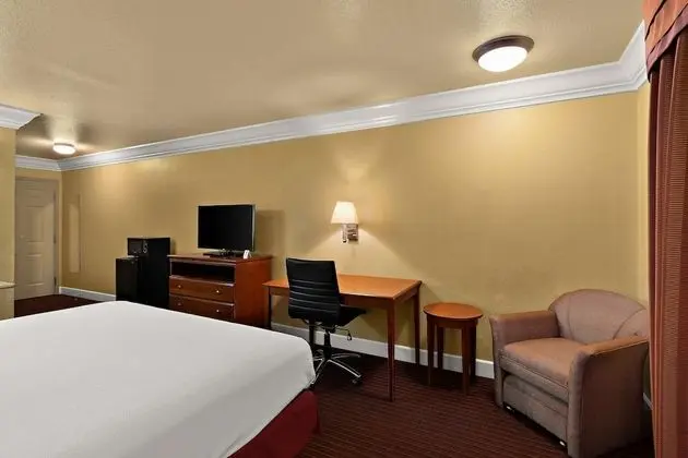 Standard Oda, 1 En Büyük (King) Boy Yatak, Engellilere Uygun, Küvet