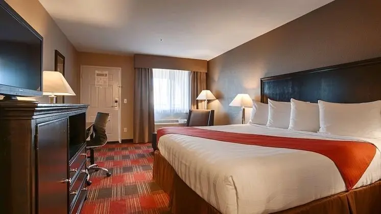 Standard Oda, 1 En Büyük (King) Boy Yatak, Engellilere Uygun, Sigara İçilmez