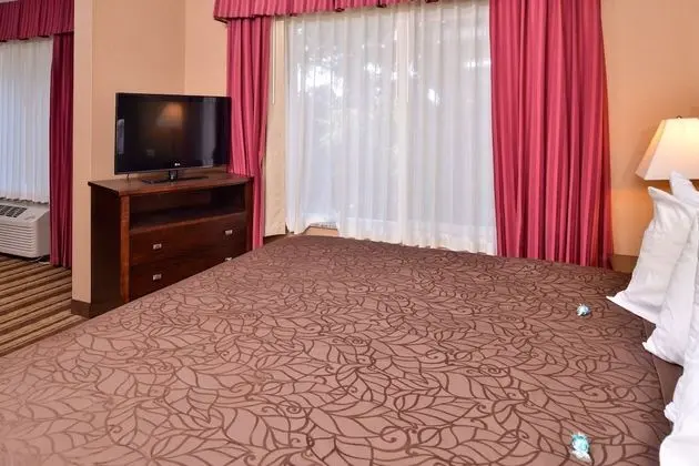 Luxury Süit, 1 En Büyük (King) Boy Yatak, Sigara İçilmez, Sıcak Su Küveti